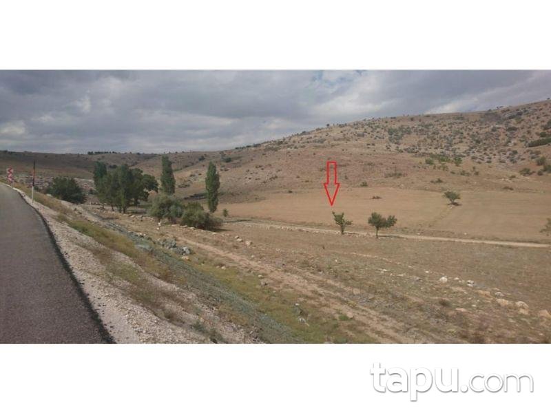 Burdur Çavdır Dengere Mahallesinde 6820 m2 Tarla
