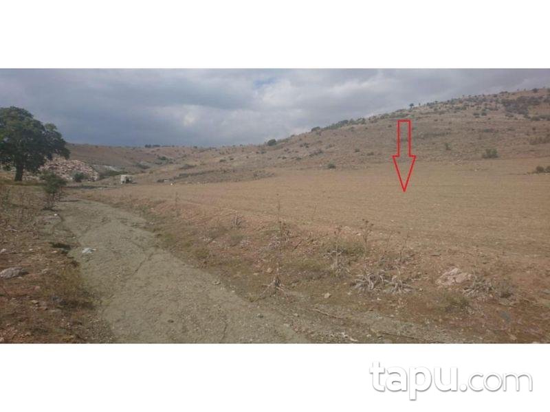 Burdur Çavdır Dengere Mahallesinde 6820 m2 Tarla