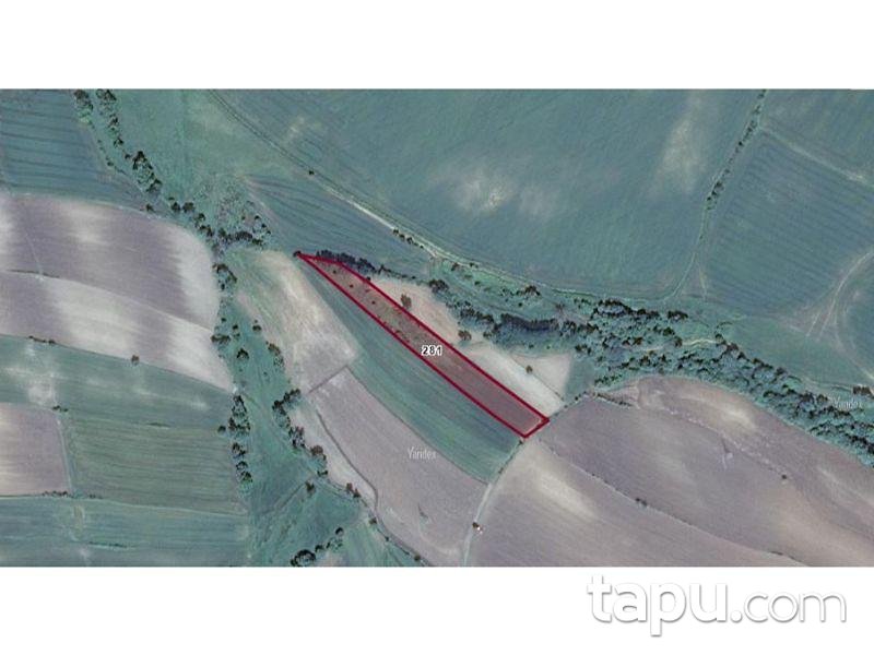 Tekirdağ Süleymanpaşa İnecik Mahallesinde 5.800 m2 Tarla