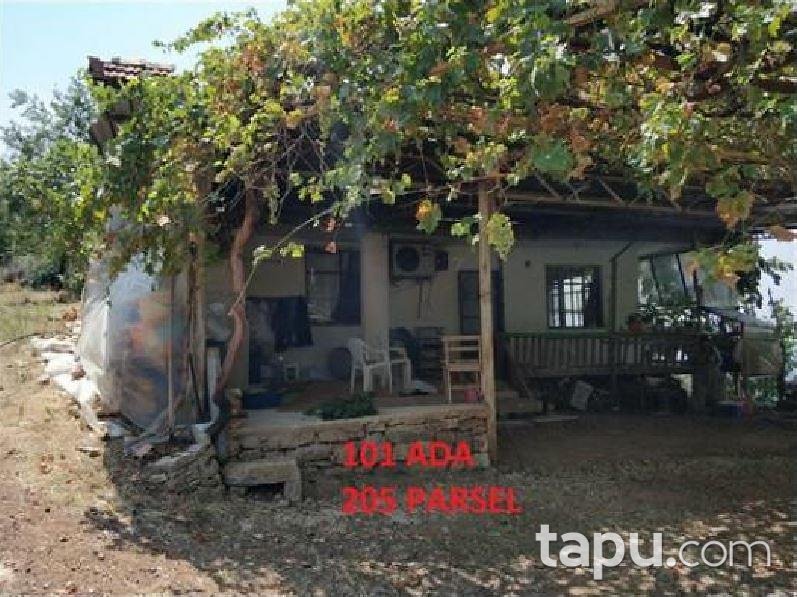 Antalya Kumluca İncircik Köyünde 13554 m2 Tarla
