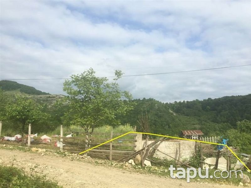 Bartın Amasra İnciğez Köyünde 5 Dönüm Tarla