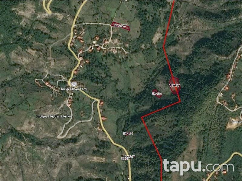 Bartın Amasra İnciğez Köyünde 5 Dönüm Tarla
