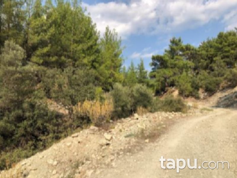 Antalya Finike Arif Köyünde 23891 m2 Tarla