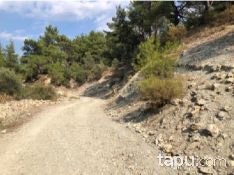Antalya Finike Arif Köyünde 23891 m2 Tarla