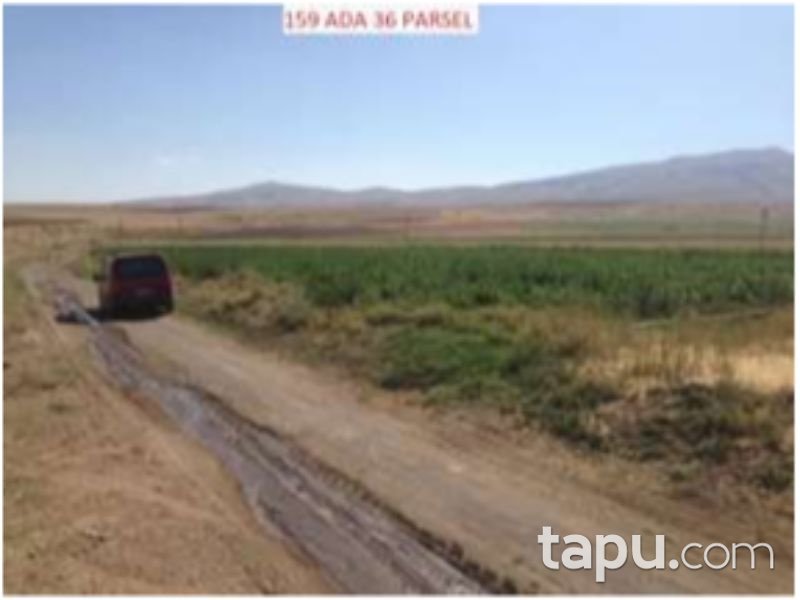 Bitlis Ahlat Taşharman Mahallesinde 7 Dönüm m2 Tarla