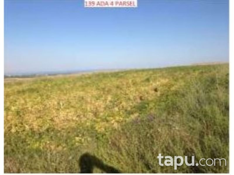 Bitlis Ahlat Taşharman Köyünde 32 Dönüm Tarla