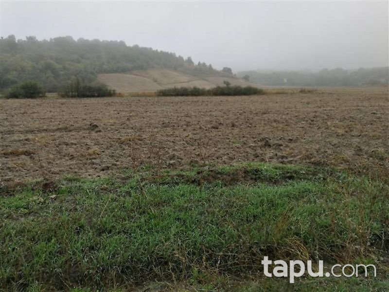 Kırklareli Pehlivanköy Akarca Köyünde 5 Dönüm Tarla