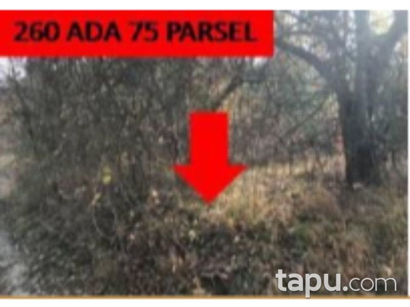 Ankara Nallıhan Çalıcaalan Mahallesinde 1 Dönüm Tarla