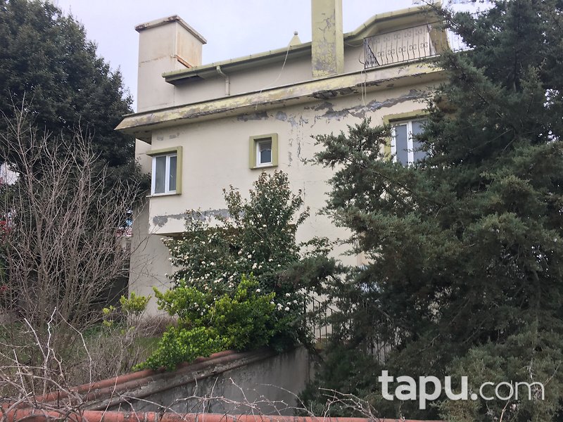 İstanbul Büyükçekmece Türkoba Mahallesinde Villa
