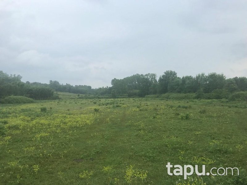Zonguldak Çaycuma Şehler Köyüde 3 Dönüm Tarla