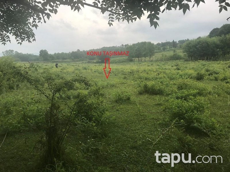 Zonguldak Çaycuma Şehler Köyüde 3 Dönüm Tarla
