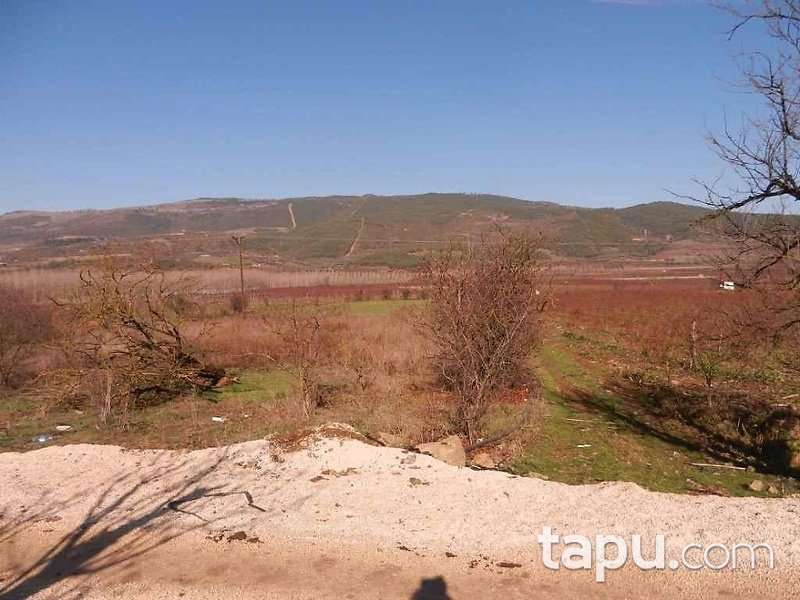 Bilecik Osmaneli Çerkeşli Köyünde 4207 m2 Tarla