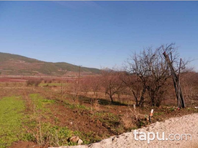 Bilecik Osmaneli Çerkeşli Köyünde 4207 m2 Tarla