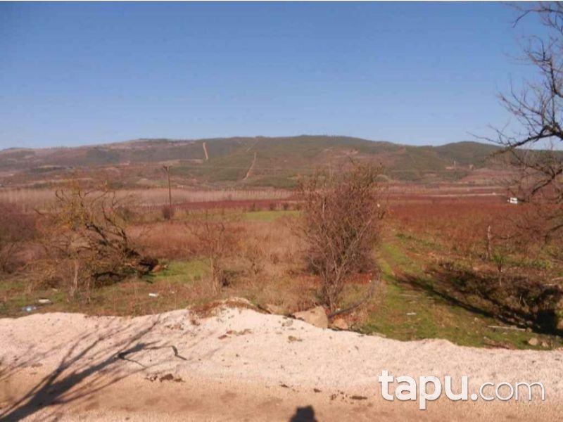 Bilecik Osmaneli Çerkeşli Köyünde 4207 m2 Tarla