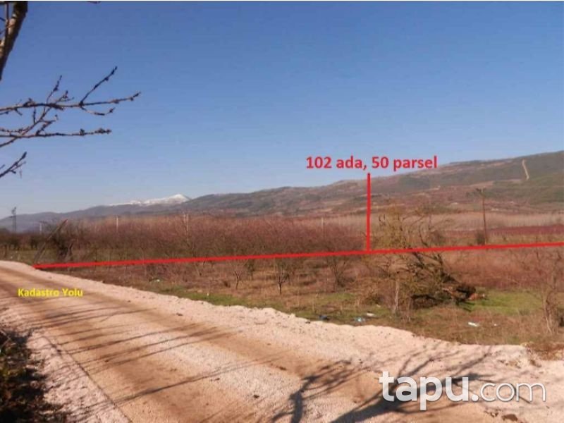 Bilecik Osmaneli Çerkeşli Köyünde 4207 m2 Tarla