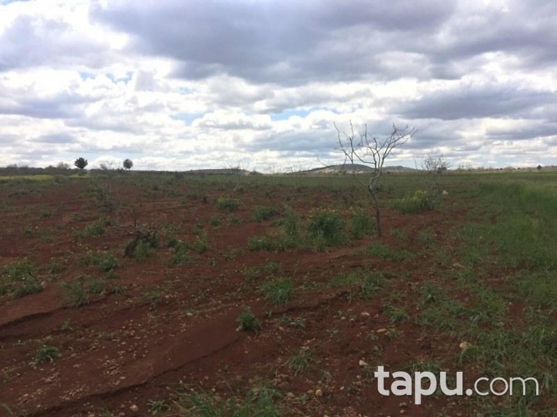 Gaziantep Oğuzeli Altınyurt Mahallesinde 8100 m2 Bahçe