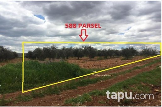 Gaziantep Oğuzeli Altınyurt Mahallesinde 8100 m2 Bahçe