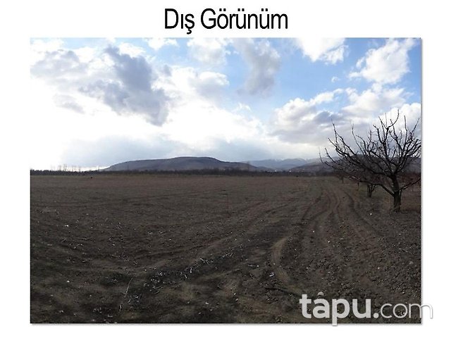 Isparta Şarkikaraağaç Yukarıdinek Köyünde 4986 m2 Bahçe