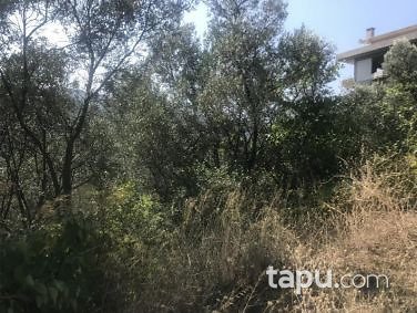 Yalova Çınarcık Esenköy Liman Mahallesi'nde 300m2 İmarlı Arsa