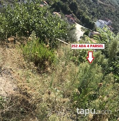 Yalova Çınarcık Esenköy Liman Mahallesi'nde 300m2 İmarlı Arsa