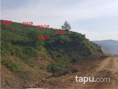 Yalova Çınarcık Esenköy Mahallesi'nde 426m2 İmarlı Arsa