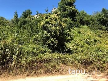 Kocaeli Gölcük'te 496m2 İmarlı Arsa