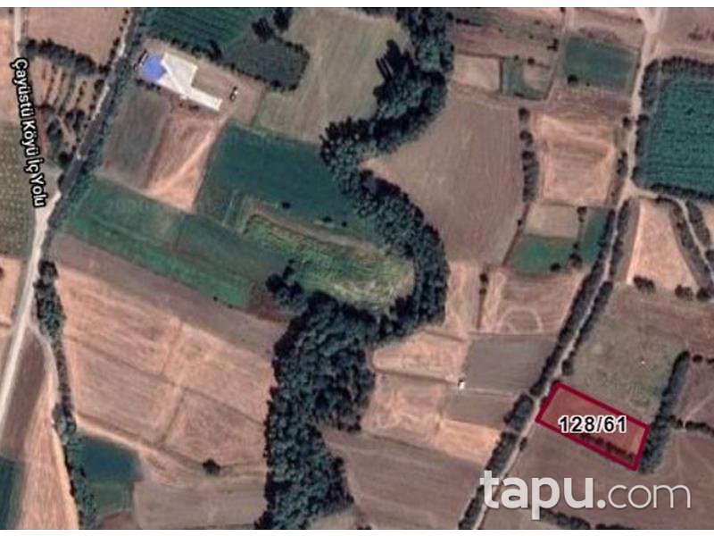 Afyonkarahisar Dinar Çayüstü Köyünde 1863 m2 Tarla