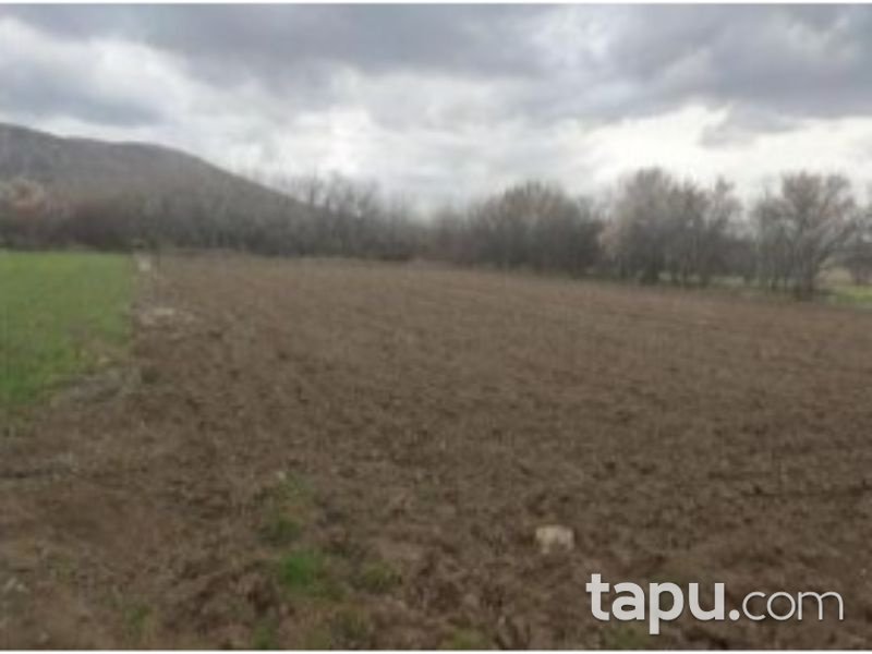 Afyonkarahisar Dinar Çayüstü Köyünde 1863 m2 Tarla