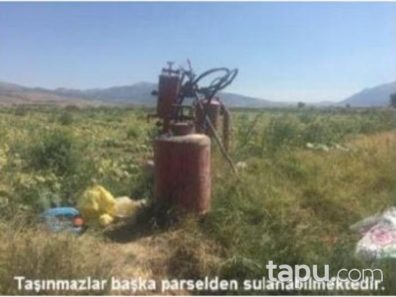 Afyonkarahisar Dinar Akgün Köyunden 4000 m2 Tarla
