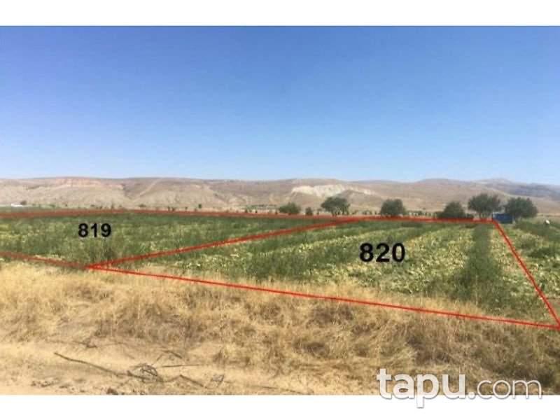 Afyonkarahisar Dinar Akgün Köyunden 4000 m2 Tarla
