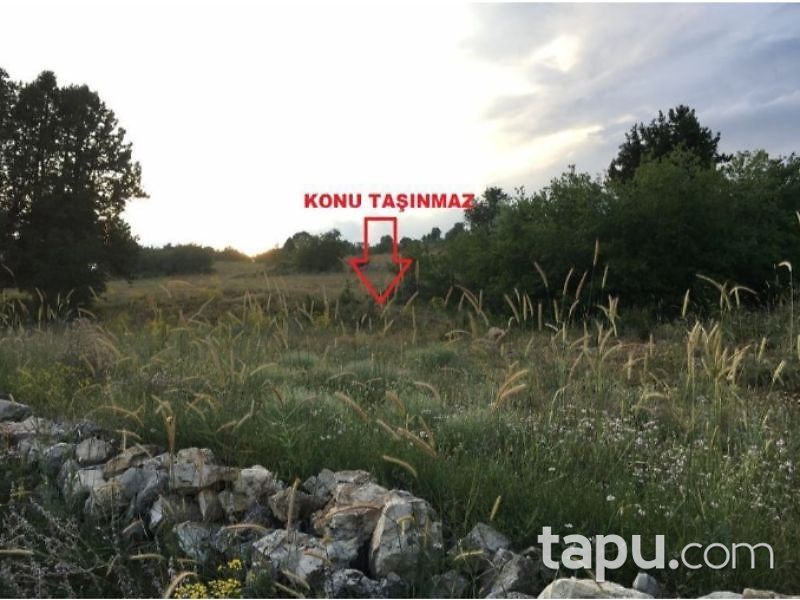 Karaman Ermenek Kazancı Yukarı Mahallesinde 25 Dönüm Tarla
