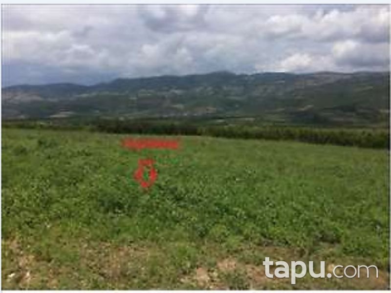 Bursa İznik Karatekin Mahallesinde 3200 m2 Tarla