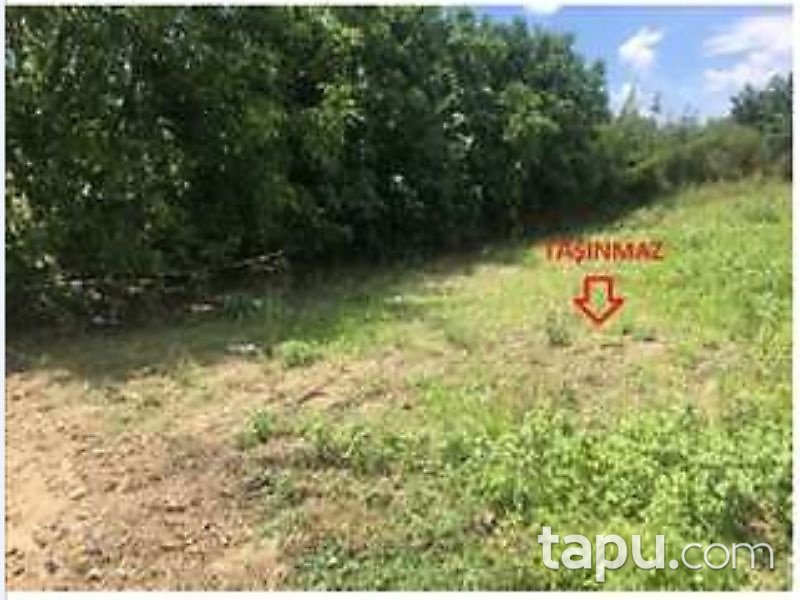 Bursa İznik Karatekin Mahallesinde 3200 m2 Tarla