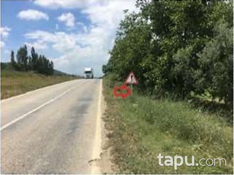 Bursa İznik Karatekin Mahallesinde 3200 m2 Tarla