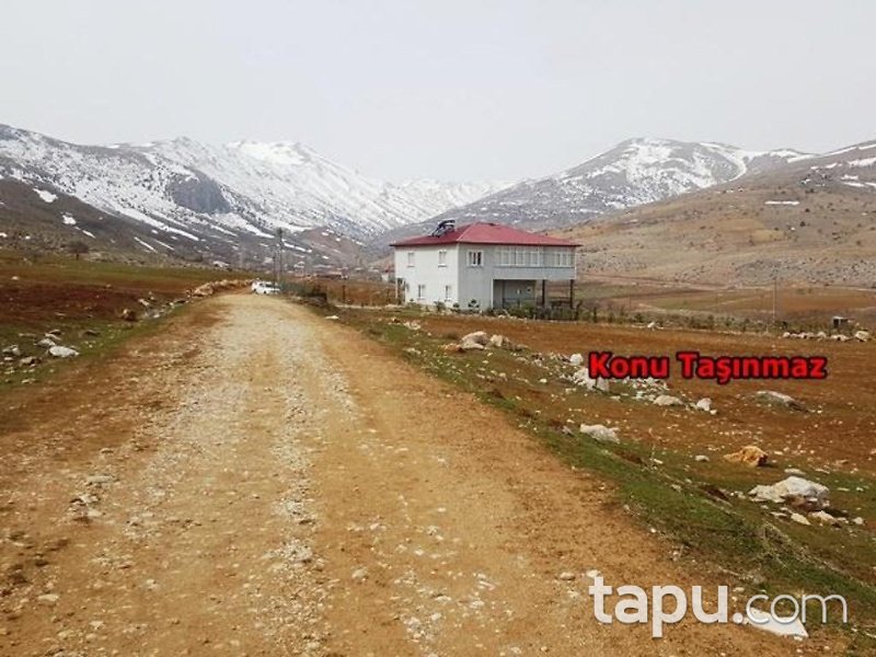 Kahramanmaraş Afşin İlçesi İncirli Mahallesinde 29 Dönüm Tarla