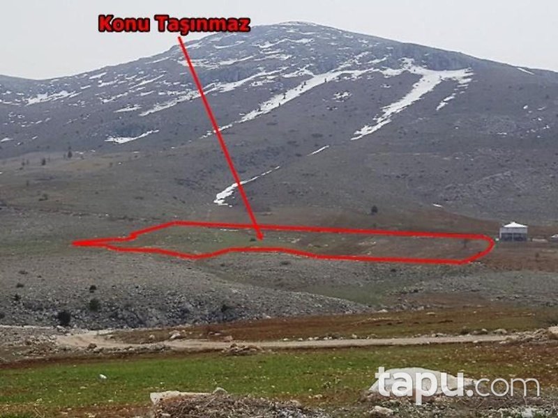 Kahramanmaraş Afşin İlçesi İncirli Mahallesinde 29 Dönüm Tarla