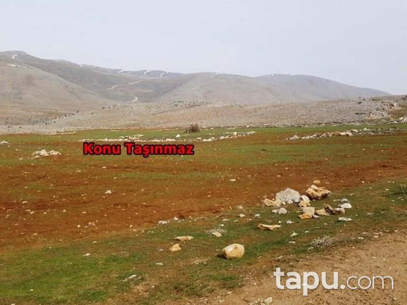Kahramanmaraş Afşin İlçesi İncirli Mahallesinde 29 Dönüm Tarla
