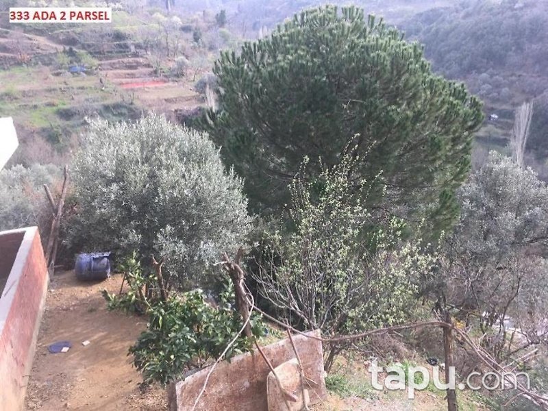 İzmir Ödemiş Bıçakçı Mahallesinde 1228 m2 Bahçe