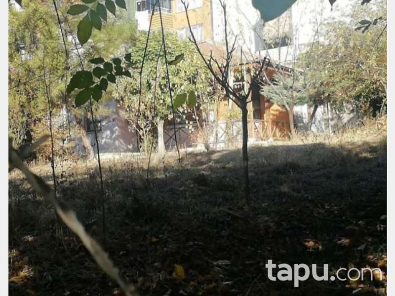 Tokat Topçam Mahallesi'nde Üç Adet Ahşap Ev Ve Arsası