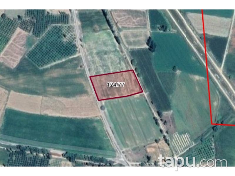 Denizli Çivril Seraserli Mahallesi'nde 6088 m2 Tarla