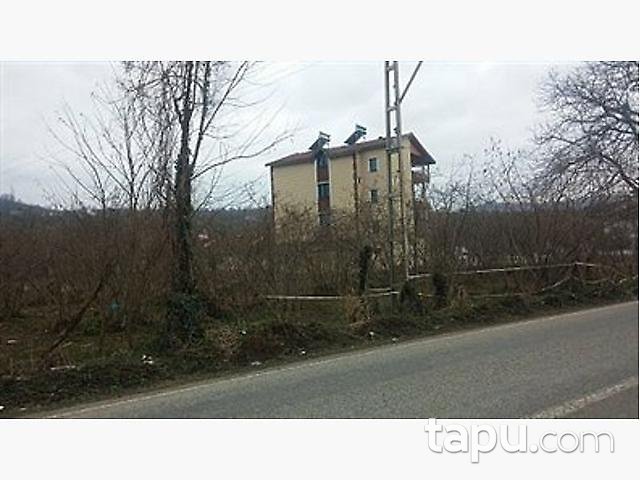 Ordu Fatsa'da 6224m2 Tarla- Fındık Bahçesi ve Bina-Ahır