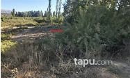 Isparta Gelendost Avşar Mahallesi'nde 840 m2 Tarla