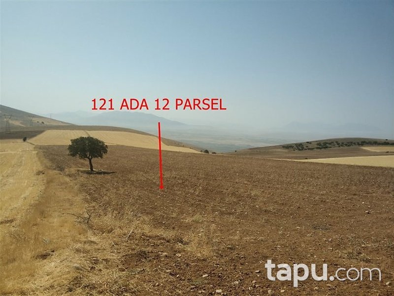 Kahramanmaraş Elbistan Kalaycık Mahallesi'nde 20 Dönüm m2 Tarla