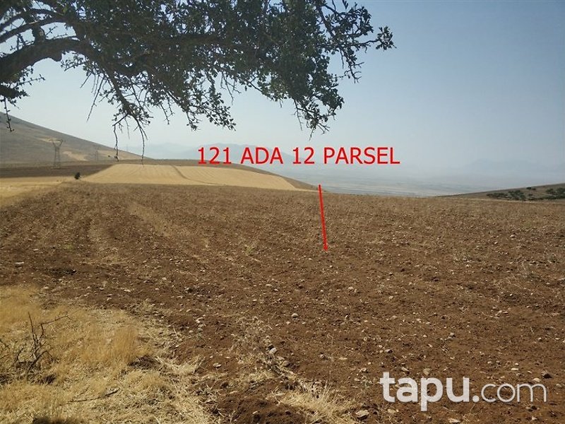 Kahramanmaraş Elbistan Kalaycık Mahallesi'nde 20 Dönüm m2 Tarla