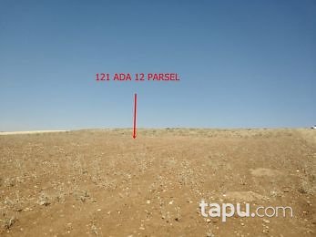Kahramanmaraş Elbistan Kalaycık Mahallesi'nde 20 Dönüm m2 Tarla