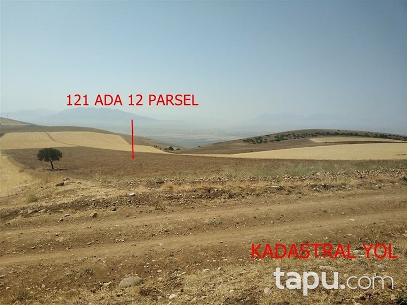 Kahramanmaraş Elbistan Kalaycık Mahallesi'nde 20 Dönüm m2 Tarla