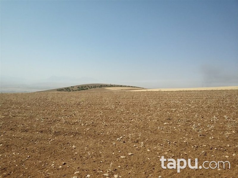 Kahramanmaraş Elbistan Kalaycık Mahallesi'nde 20 Dönüm m2 Tarla