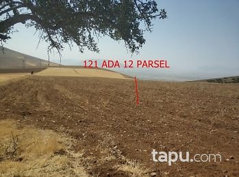 Kahramanmaraş Elbistan Kalaycık Mahallesi'nde 20 Dönüm m2 Tarla