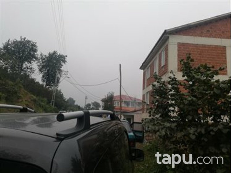Ordu Gürgentepe Tikenlice Mahallesi'nde Kagir Ev ve Fındık Bahçesi