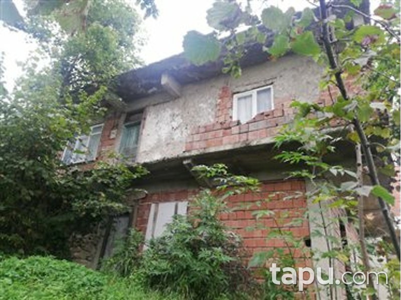 Ordu Gürgentepe Tikenlice Mahallesi'nde Kagir Ev ve Fındık Bahçesi